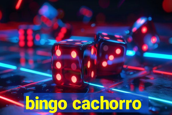 bingo cachorro