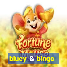 bluey & bingo