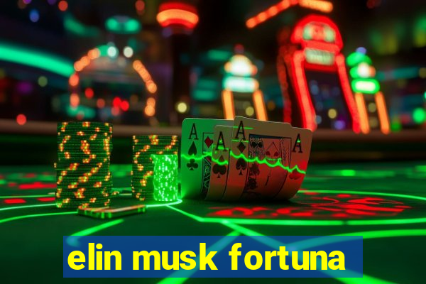 elin musk fortuna