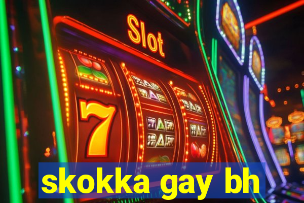 skokka gay bh