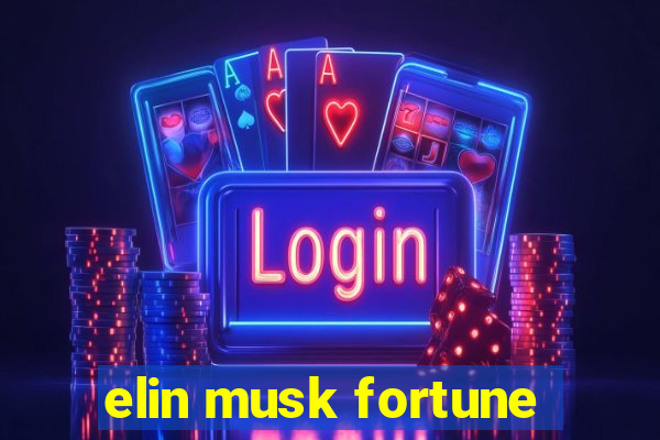 elin musk fortune