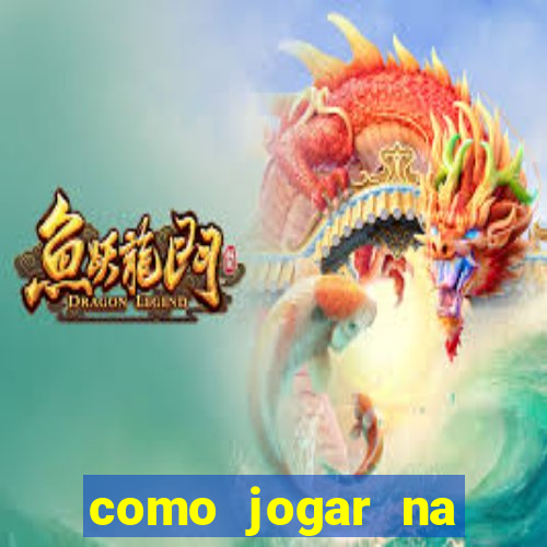 como jogar na lotinha do jogo do bicho