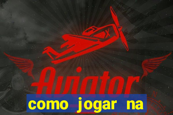 como jogar na lotinha do jogo do bicho