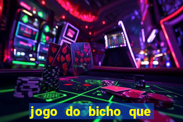 jogo do bicho que da dinheiro