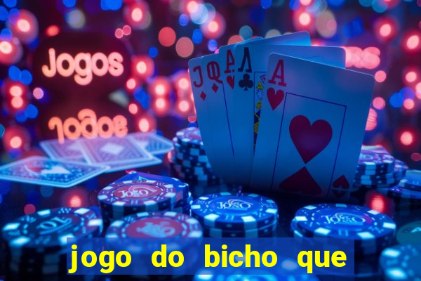 jogo do bicho que da dinheiro