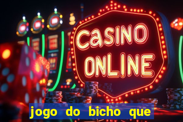 jogo do bicho que da dinheiro