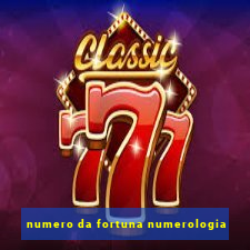 numero da fortuna numerologia