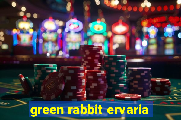 green rabbit ervaria