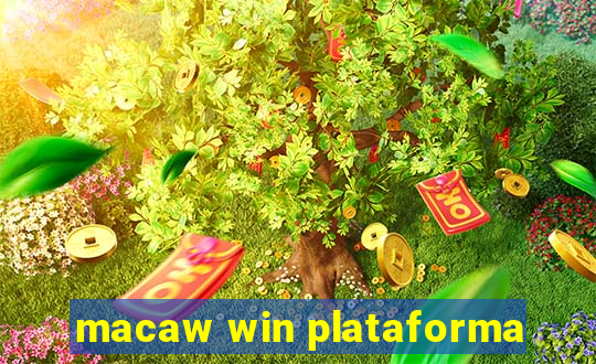 macaw win plataforma