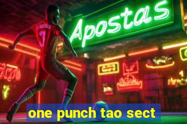 one punch tao sect