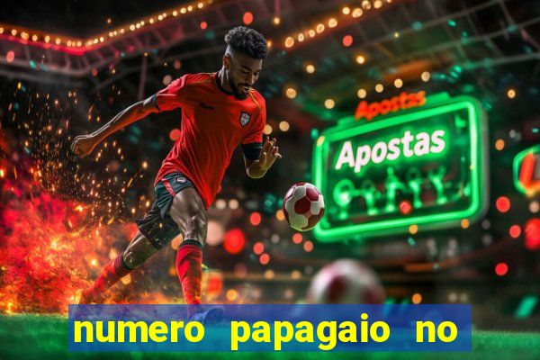 numero papagaio no jogo do bicho