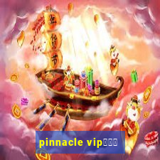 pinnacle vipコード