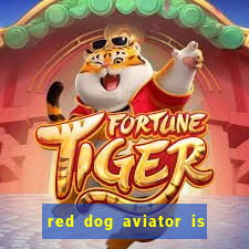 red dog aviator is real or fake