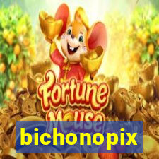 bichonopix