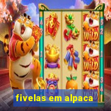 fivelas em alpaca