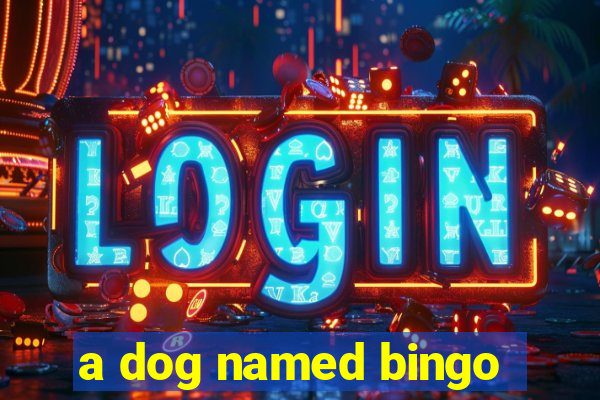 a dog named bingo