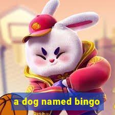 a dog named bingo