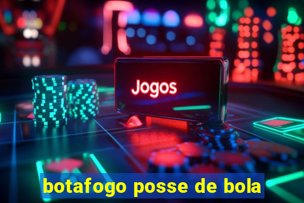 botafogo posse de bola