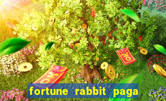 fortune rabbit paga mesmo Informational