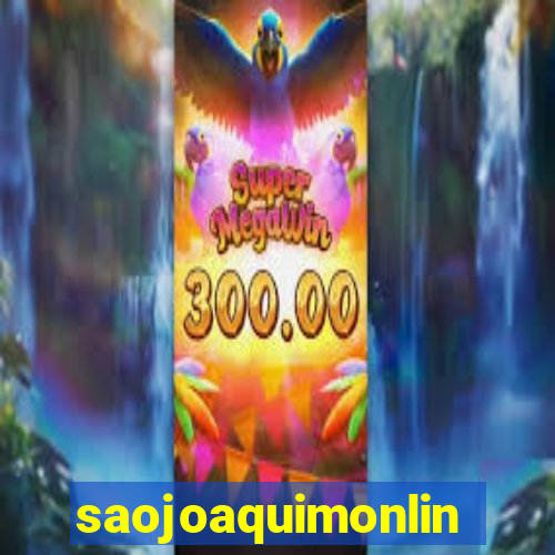 saojoaquimonline