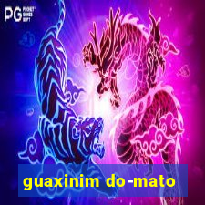 guaxinim do-mato