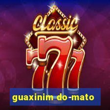 guaxinim do-mato