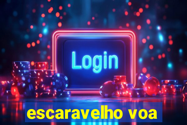 escaravelho voa