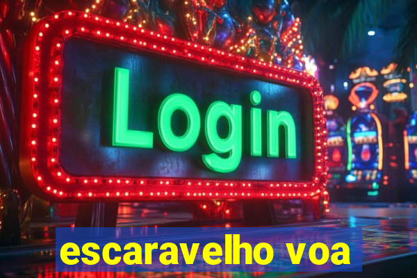 escaravelho voa