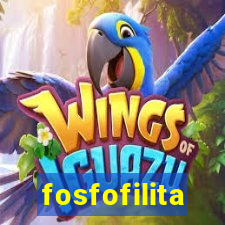 fosfofilita