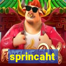 sprincaht