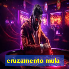 cruzamento mula