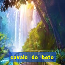 cavalo do beto carrero world