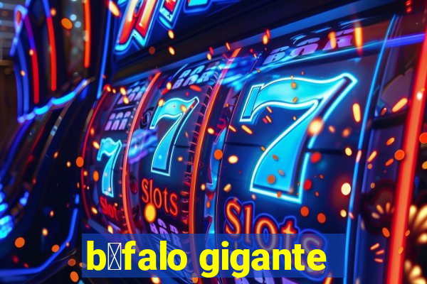 b煤falo gigante