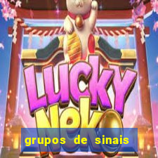 grupos de sinais fortune tiger