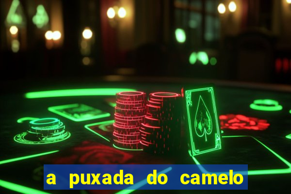 a puxada do camelo no jogo do bicho