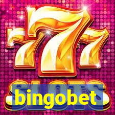 bingobet