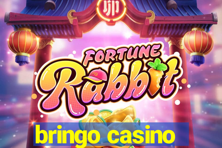 bringo casino