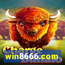 win8666.com