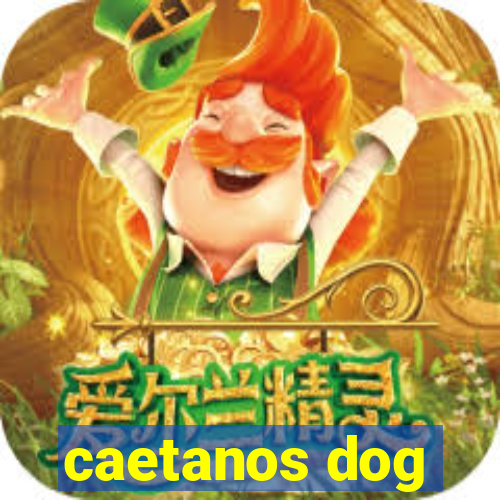 caetanos dog