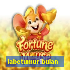 labetumur1bulan