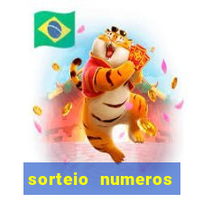 sorteio numeros bingo online