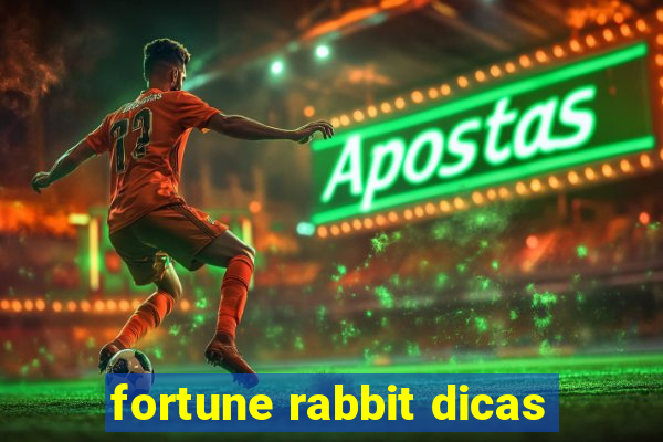 fortune rabbit dicas