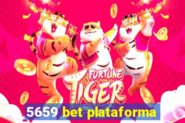 5659 bet plataforma