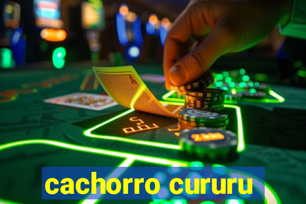 cachorro cururu