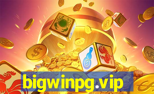 bigwinpg.vip