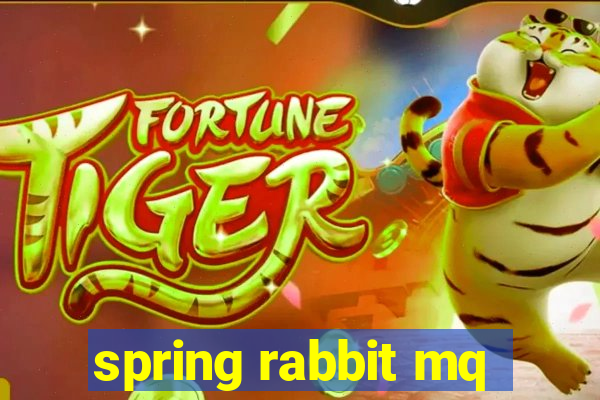 spring rabbit mq