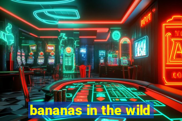 bananas in the wild