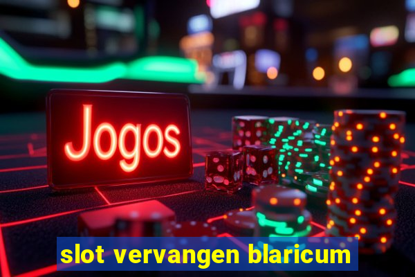 slot vervangen blaricum