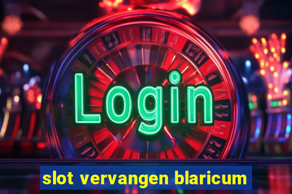 slot vervangen blaricum