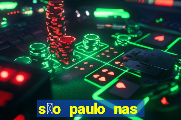 s茫o paulo nas alturas pdf